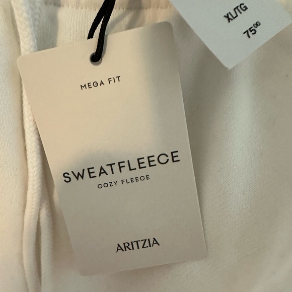 Aritiza Cozy Fleece Mega Flutter Sweatpants Size XL New with Tags - Picture 2 of 3
